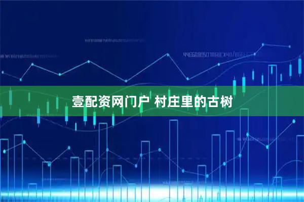 壹配资网门户 村庄里的古树