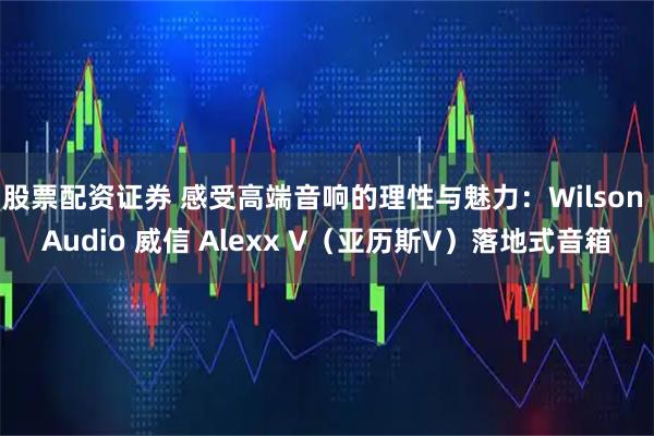 股票配资证券 感受高端音响的理性与魅力：Wilson Audio 威信 Alexx V（亚历斯V）落地式音箱