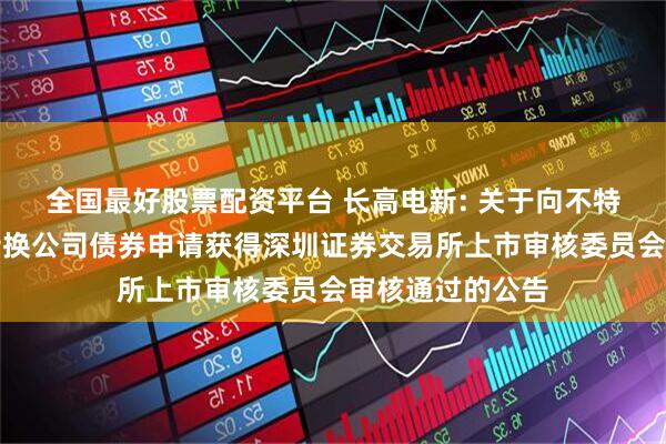 全国最好股票配资平台 长高电新: 关于向不特定对象发行可转换公司债券申请获得深圳证券交易所上市审核委员会审核通过的公告